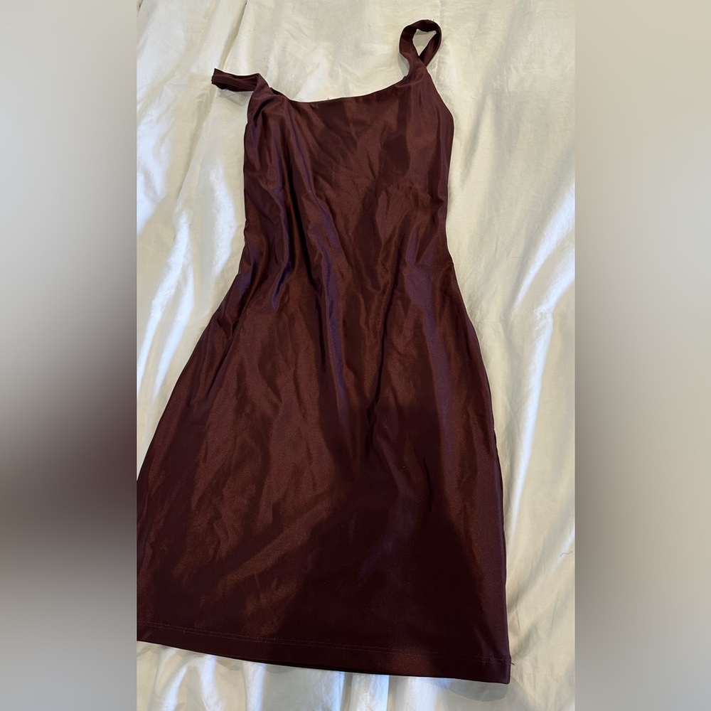 Aritzia Dress